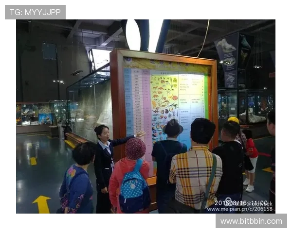 一分快三走势图表实时更新提供专业数据分析助你提高中奖几率