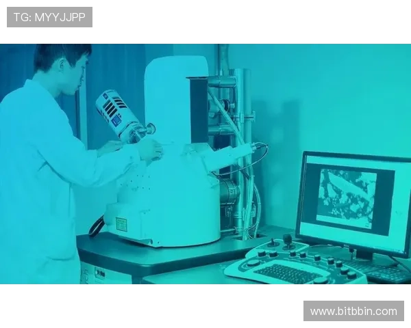 宝盈官网登录网址官方入口地址，确保用户快速便捷安全登录体验指南